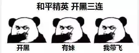 透视挂和平精英免费下载_透视精英和平辅助下载软件安装_和平精英透视辅助软件下载